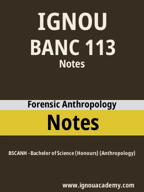 BANC 113 Solved Assignment