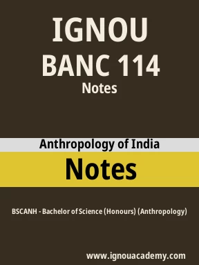 BANC 114 Solved Assignment