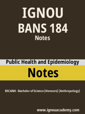 BANS 184 Solved Assignment