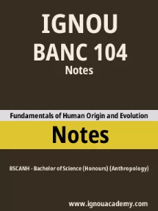 Image ignouassignments-ignouacademy-com-ignou-bscanh-notes-html-div-product-image-ignou-50807