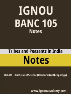 Image ignouassignments-ignouacademy-com-ignou-bscanh-notes-html-div-product-image-ignou-45387