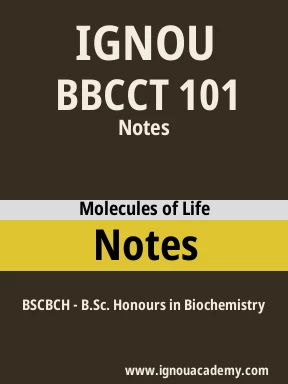 BBCCT 101 Solved Assignment