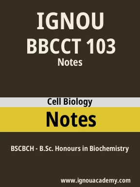 BBCCT 103 Solved Assignment