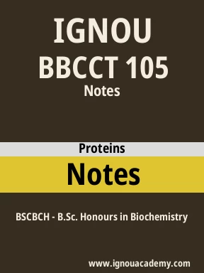 BBCCT 105 Solved Assignment