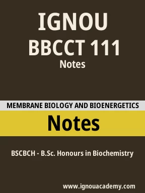 BBCCT 111 Solved Assignment