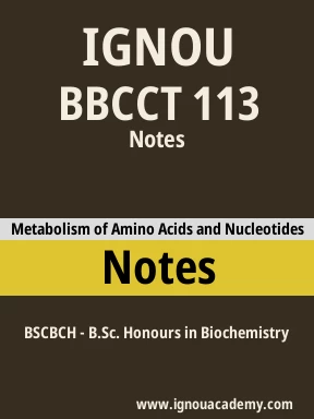 BBCCT 113 Solved Assignment