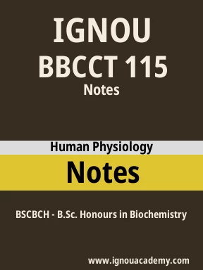 BBCCT 115 Solved Assignment