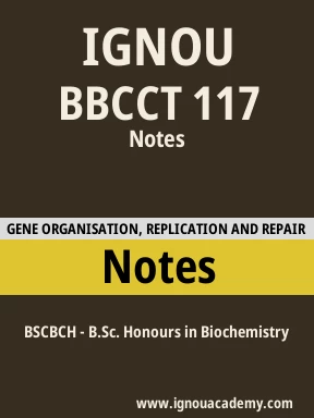 BBCCT 117 Solved Assignment