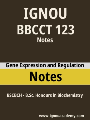 BBCCT 123 Solved Assignment