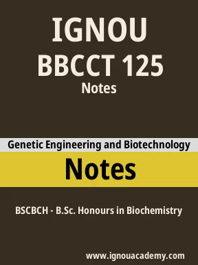 BBCCT 125 Solved Assignment