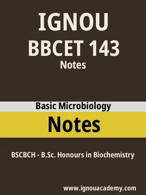 BBCET 143 Solved Assignment