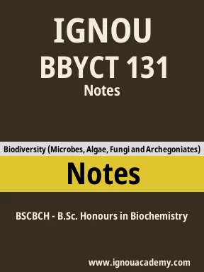 BBYCT 131 Solved Assignment