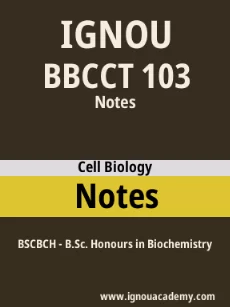 Image ignouassignments-ignouacademy-com-ignou-bscbch-notes-html-div-product-image-ignou-74509