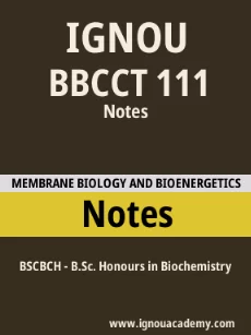 Image ignouassignments-ignouacademy-com-ignou-bscbch-notes-html-div-product-image-ignou-70197