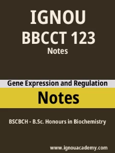 Image ignouassignments-ignouacademy-com-ignou-bscbch-notes-html-div-product-image-ignou-11863