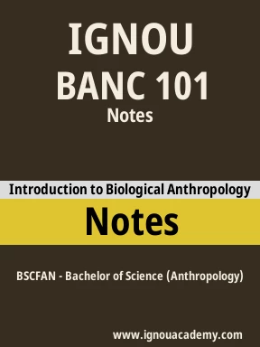 BANC 101 Solved Assignment