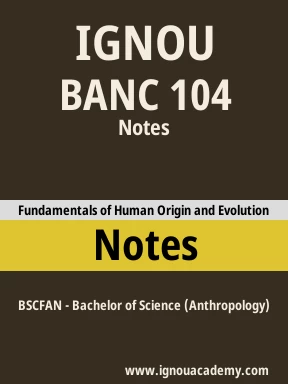 BANC 104 Solved Assignment