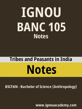 BANC 105 Solved Assignment