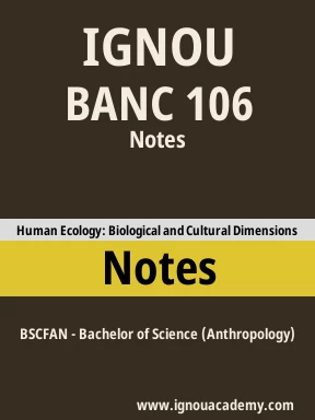 BANC 106 Solved Assignment