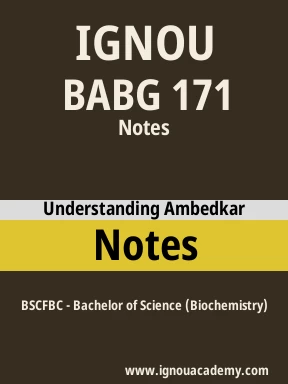 BABG 171 Solved Assignment