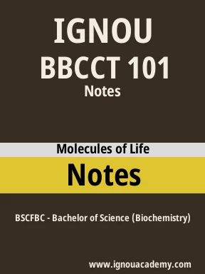 BBCCT 101 Solved Assignment
