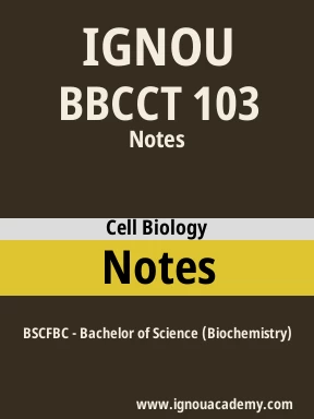 BBCCT 103 Solved Assignment