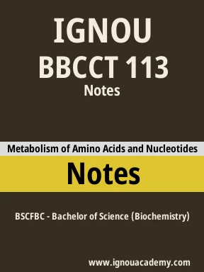 BBCCT 113 Solved Assignment