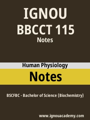 BBCCT 115 Solved Assignment