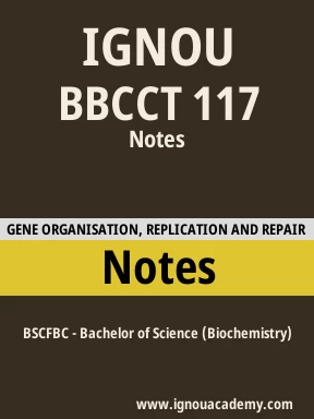 BBCCT 117 Solved Assignment