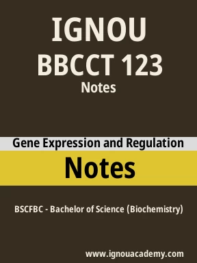 BBCCT 123 Solved Assignment