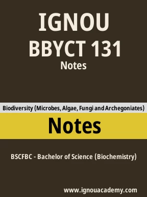 BBYCT 131 Solved Assignment
