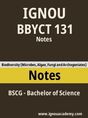 BBYCT 131 Solved Assignment