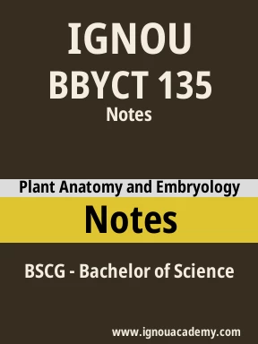 BBYCT 135 Solved Assignment