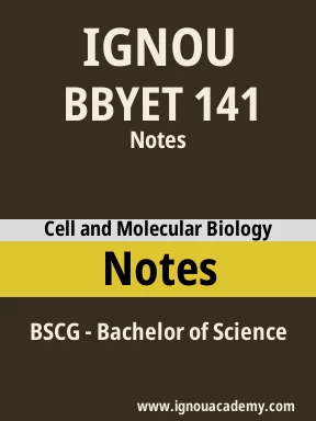 BBYET 141 Solved Assignment