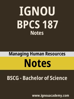 BPCS 187 Solved Assignment
