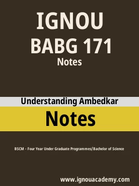 BABG 171 Solved Assignment