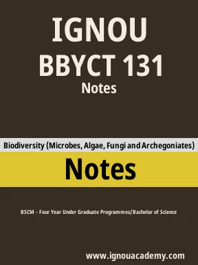 BBYCT 131 Solved Assignment