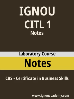 CITL 1 Solved Assignment