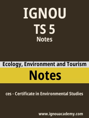 TS 5 Solved Assignment