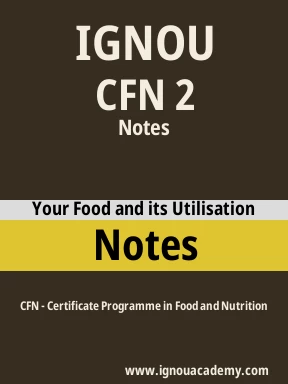 CFN 2 Solved Assignment