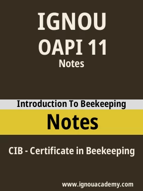 OAPI 11 Solved Assignment