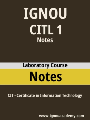 CITL 1 Solved Assignment