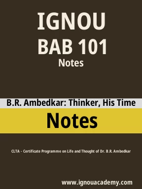 BAB 101 Solved Assignment