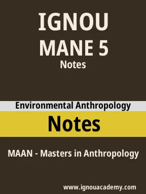 MANE 5 Solved Assignment