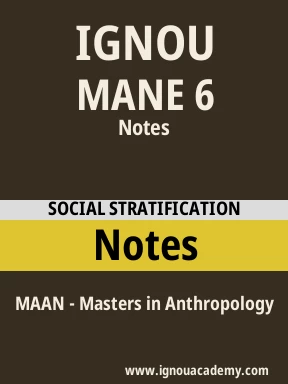 MANE 6 Solved Assignment