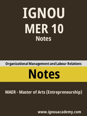 MER 10 Solved Assignment
