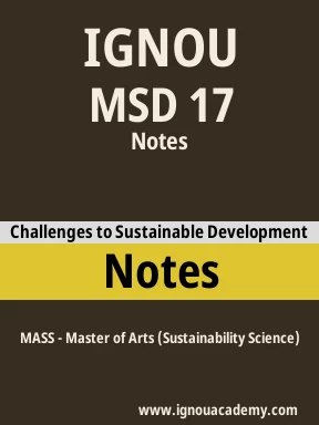 MSD 17 Solved Assignment