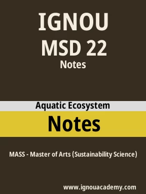 MSD 22 Solved Assignment