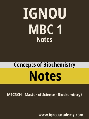 MBC 1 Solved Assignment
