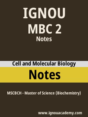 MBC 2 Solved Assignment